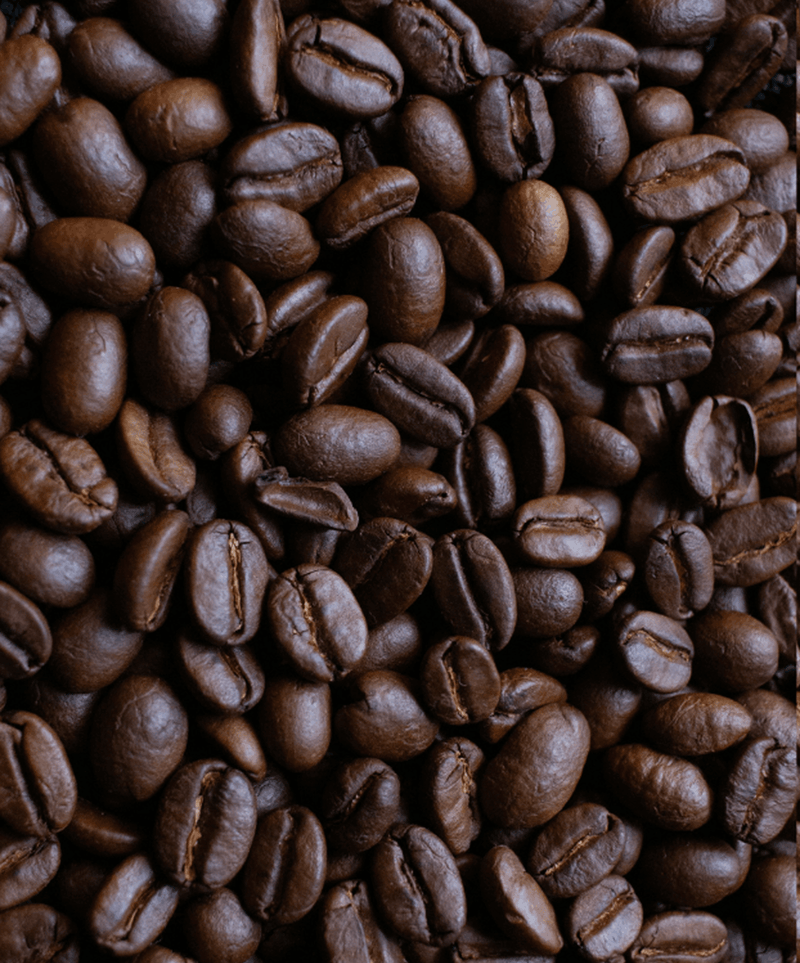 Robusta Coffee
