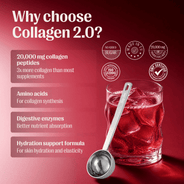 Collagen 2.0 - Starter Pack