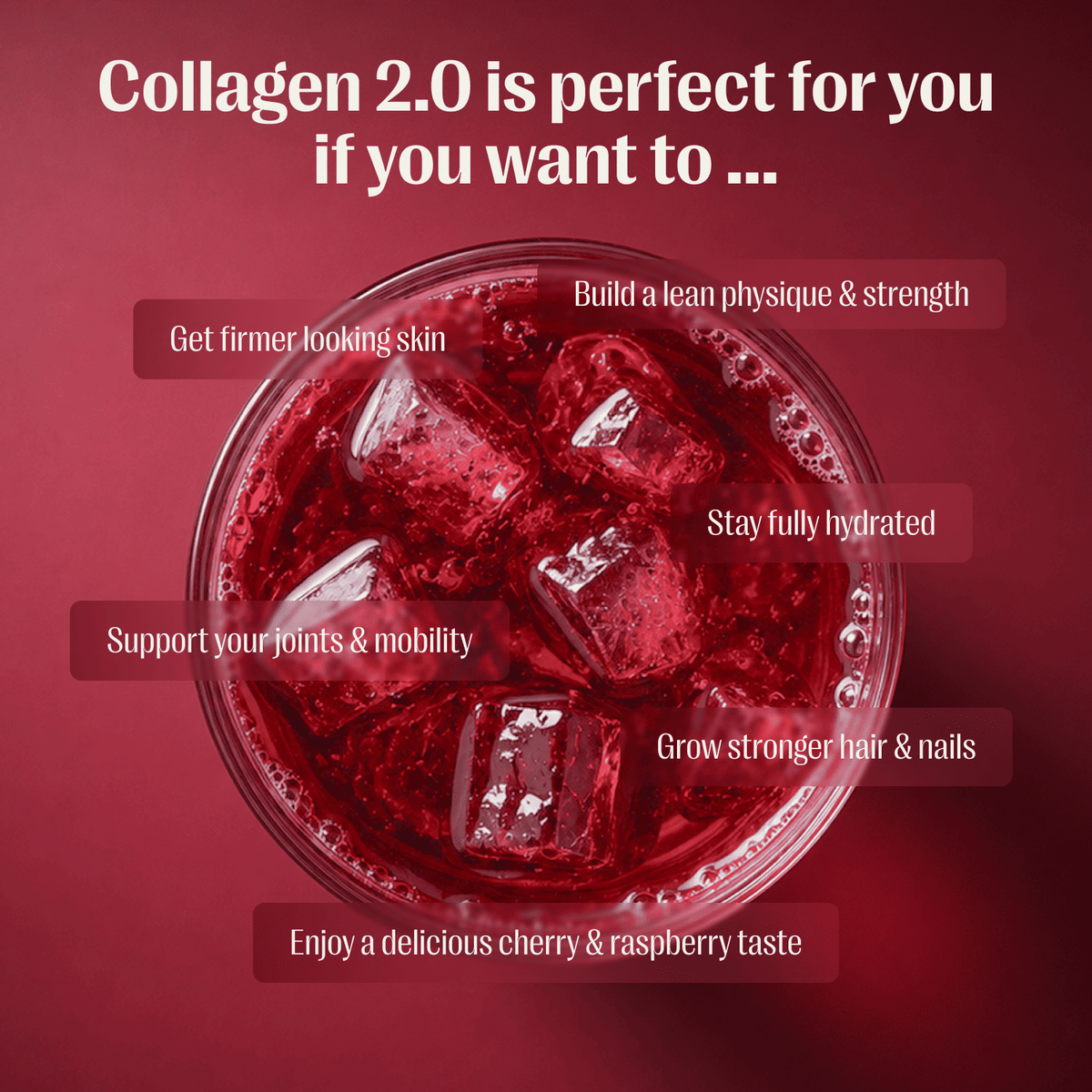 Collagen 2.0 - Starter Pack