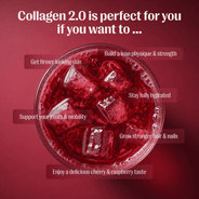 Collagen 2.0 - Starter Pack