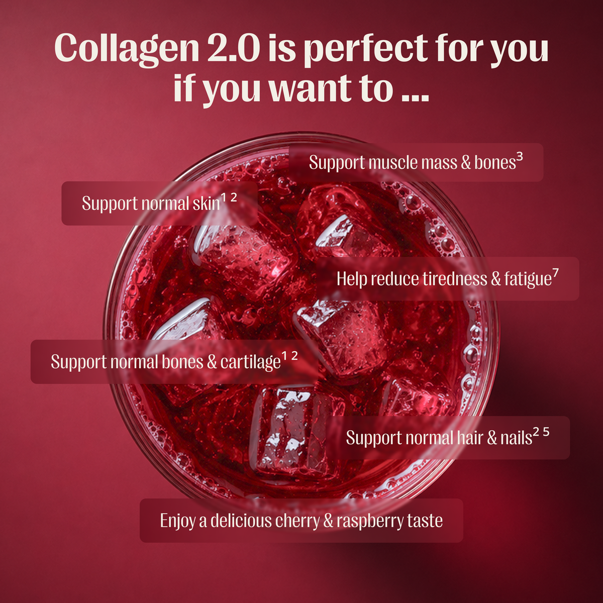 Collagen 2.0 - Starter Pack