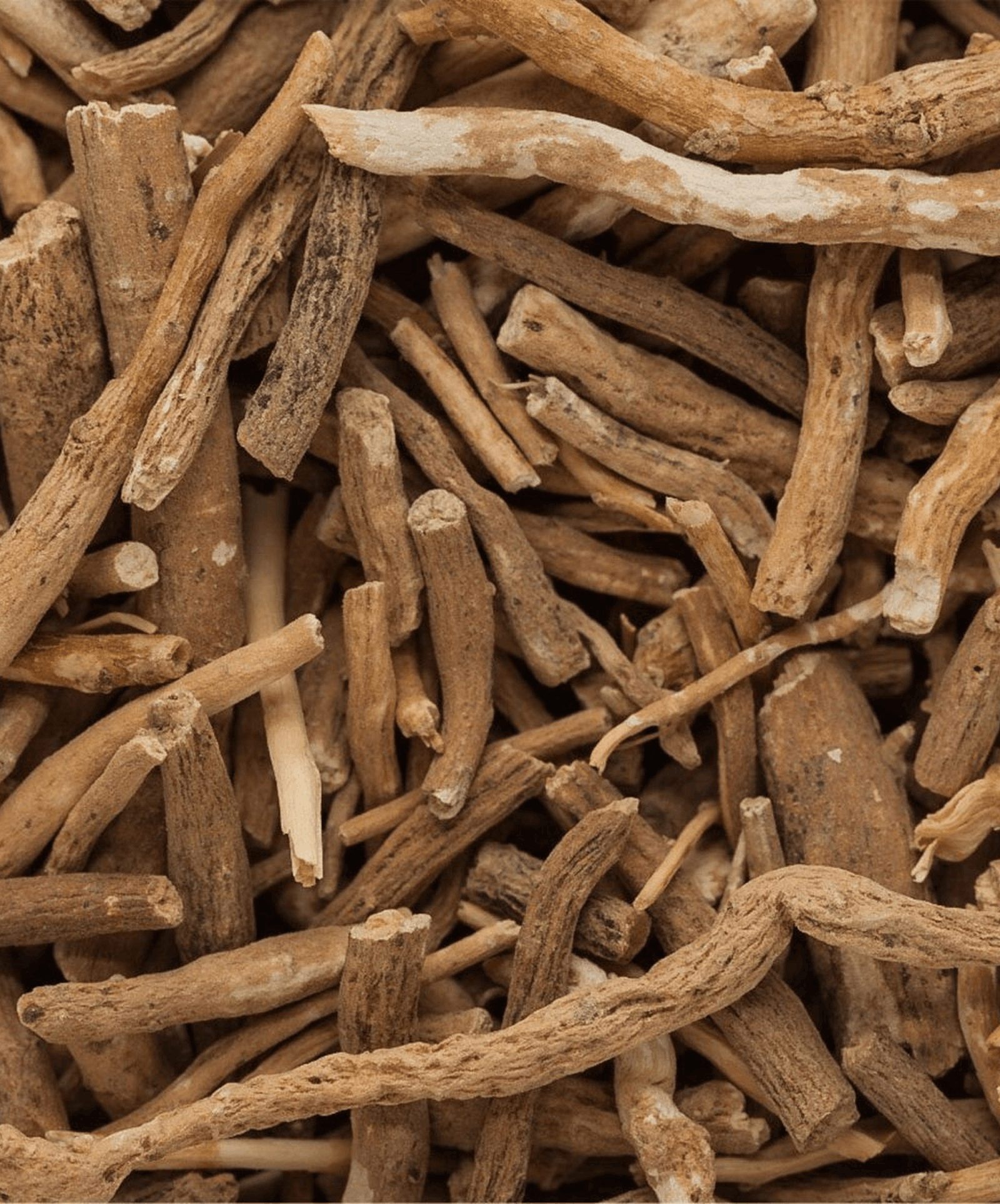 Ashwagandha — visuel de référence