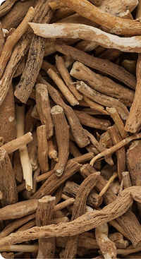 7 Adaptogens