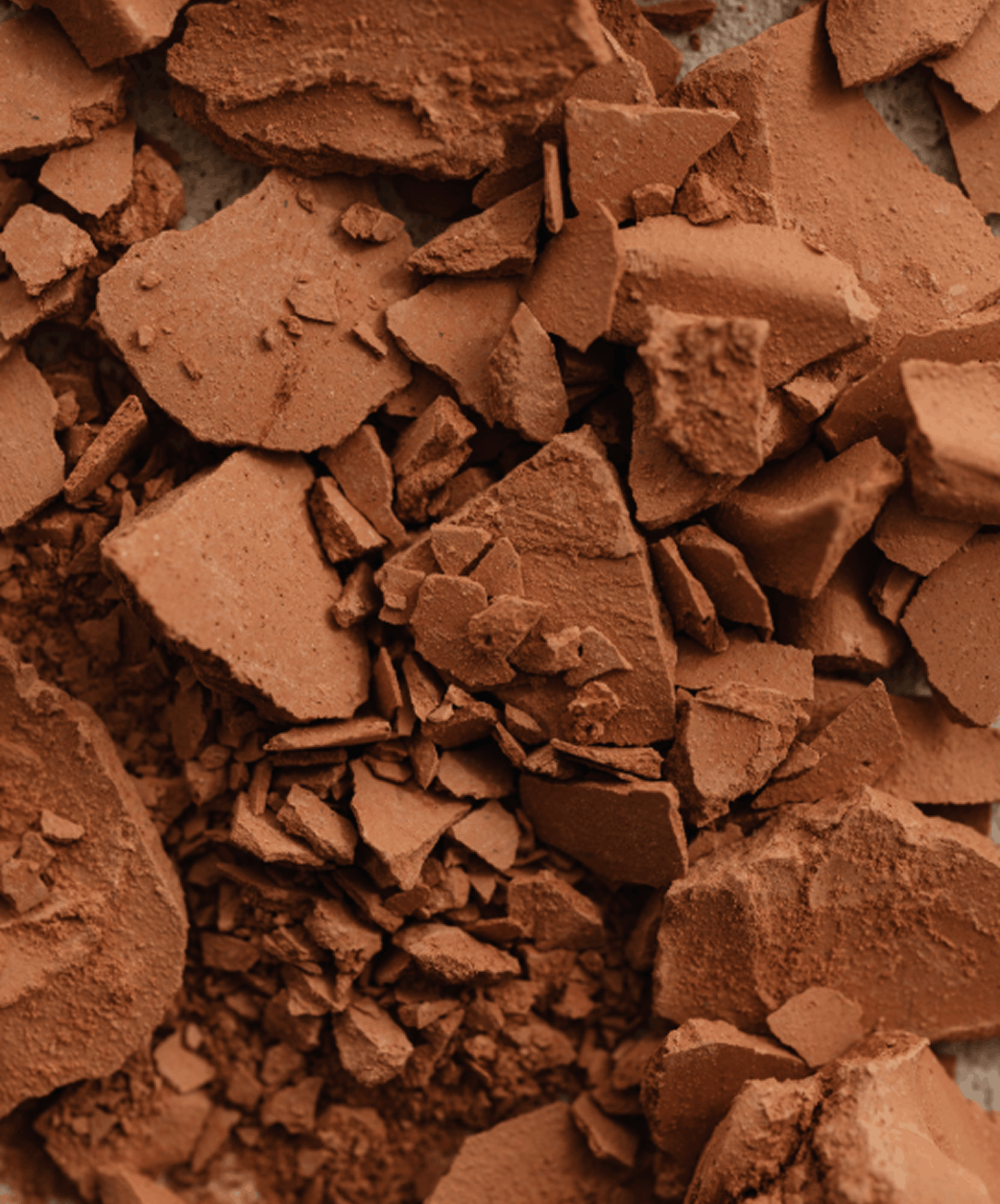 Cacao — visuel de référence