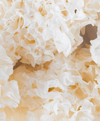 Tremella