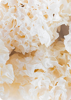 Tremella + Reishi