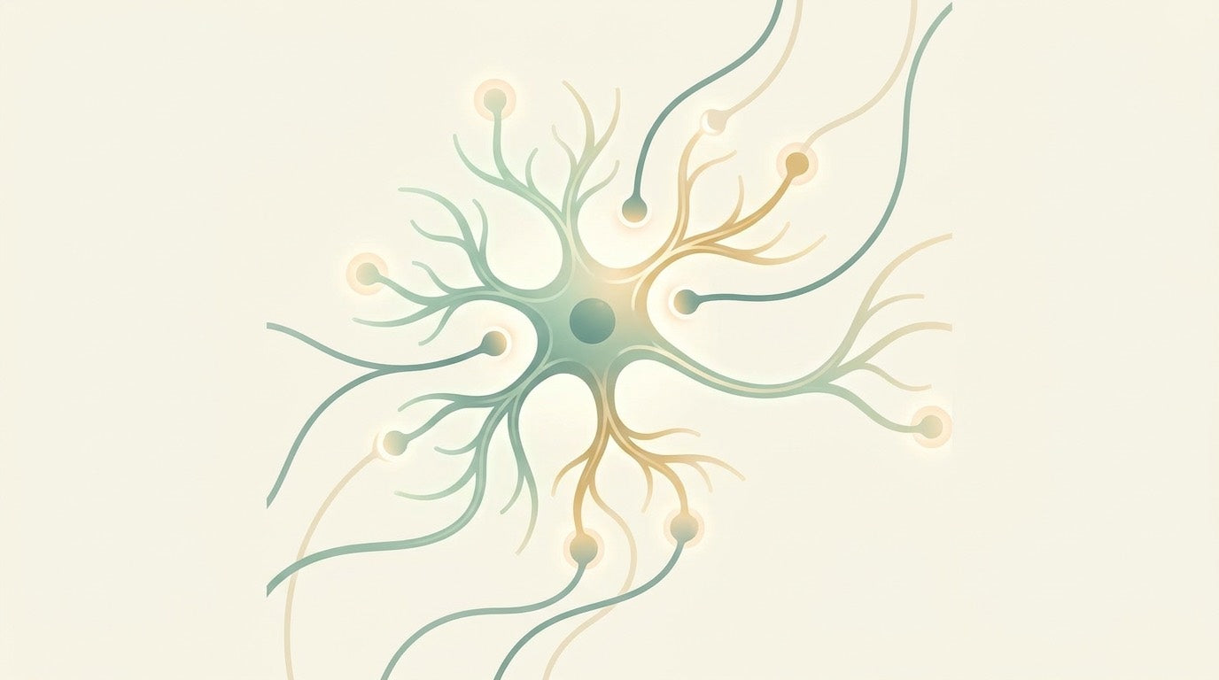 Semplice disegno di una cellula nervosa con ramificazioni